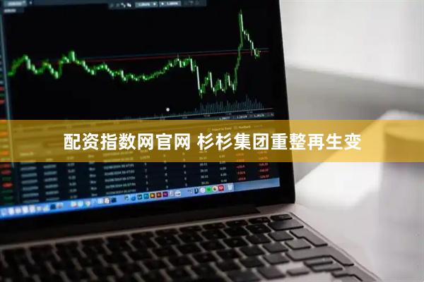 配资指数网官网 杉杉集团重整再生变