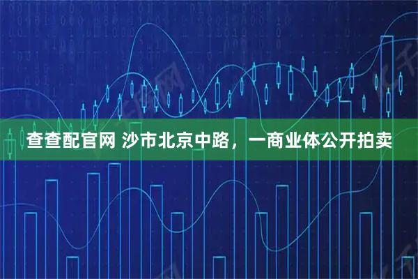 查查配官网 沙市北京中路，一商业体公开拍卖
